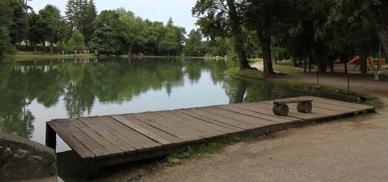 6.4 A TÓ KÖRNYEZETE A Felsőtárkányi tavat a Sziklaforrás táplálja egész évben friss, hideg