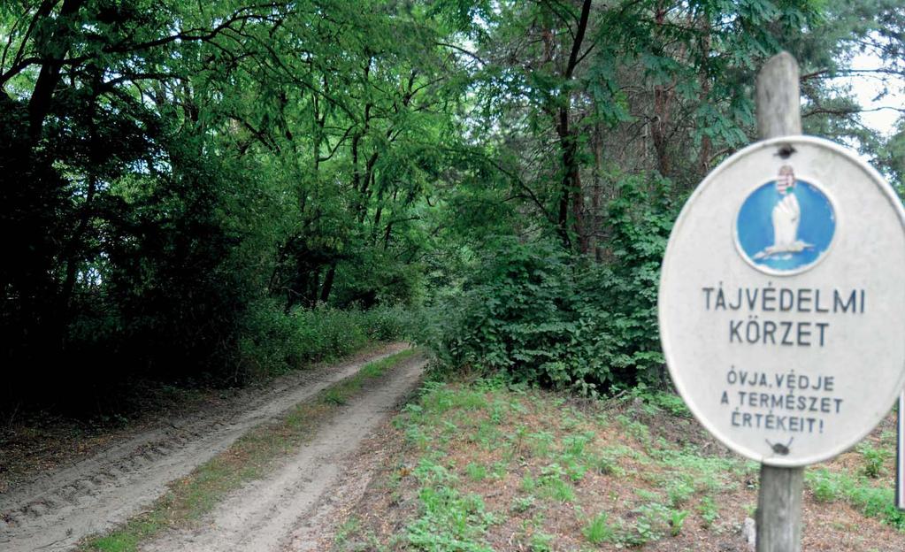 A megmaradt halastórendszer körül alakult ki a tájvédelmi körzet, mint vizes élőhely, melynek kezelője a Duna- Dráva Nemzeti Park.