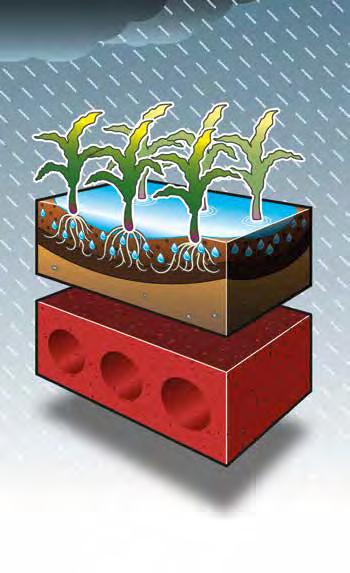 Helyes vízgazdálkodású talajok tulajdonságai: Infiltráció: a talaj szerkezete jelentős mértékben befolyásolja az infiltráció (beszivárgás) mennyiségét.