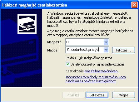 113. ábra: Hálózati meghajtó