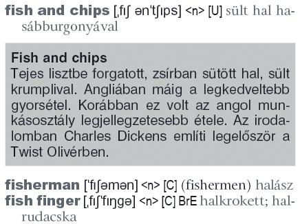 fontosabb városok, épületek; szokások; intézmények; ételek stb.) találunk; ez az irányvonal a 90-es évektől hazánkban is észrevehető.