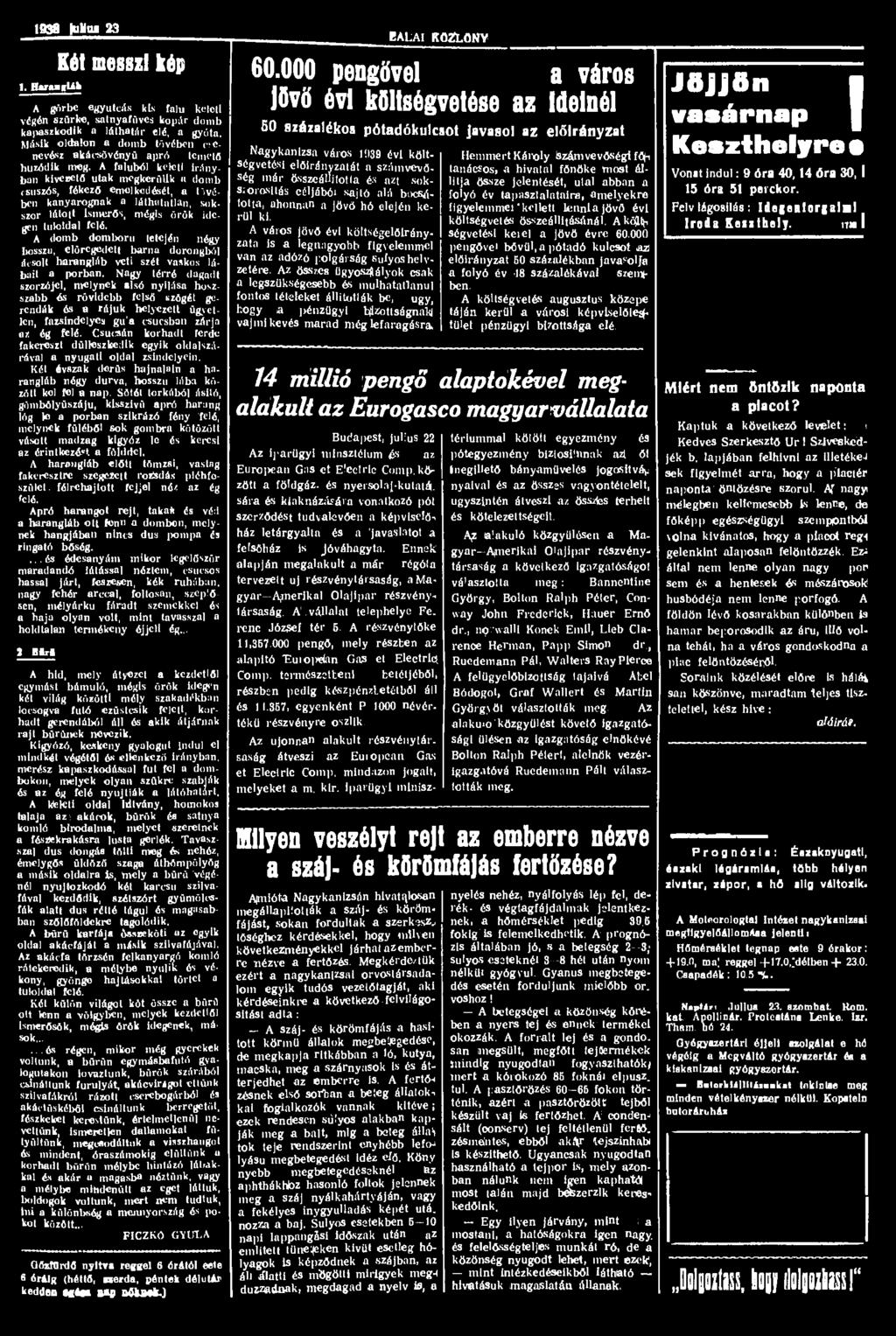 1938 juhui 23 1. Hwm»U> Két messzi kép A görbe egyutcás kis falu keleti végén szürke, satnyafüves kopár domb kapaszkodik a láthatár elé, a gyóta.