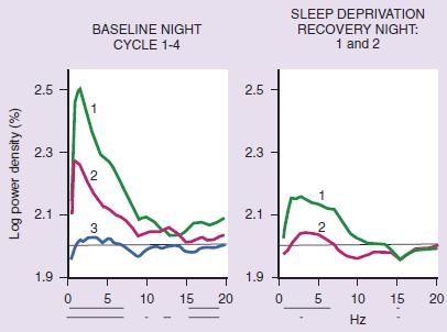 A KÉT-FOLYAMAT MODELLT MEGALAPOZÓ MEGFIGYELÉSEK: a lassú hullámok kitüntetett szerepe Alvásnyomás = lassú (delta) hullámok Szignifikáns eltérések Alvásciklusonkénti EEG teljesítménysűrűség spektrumok