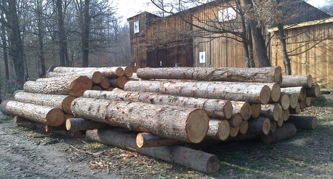 ábra: A készletezés módjai a) sarang; b) máglya; c) terítés Minden készletezendő faanyag alá a választékok minőségének megőrzése céljából saját anyagából vagy alacsonyabb rendű választékból