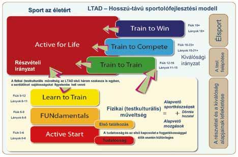 11 12 A PROGRAM ÁTTEKINTÉSE A gyerekek, a serdülők és a felnőttek fejlesztése a fizikai, mentális, értelmi és érzelmi fejlődés folyamatain alapul, a megfelelő fejlődés érdekében mindegyik életkori