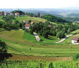 A magyar nyelv bizonyos településeken regionális hivatalos nyelvnek számít. A területnek közel kétharmad részét (főleg a Száva Dráva közét) hasznosítja a mezőgazdaság.