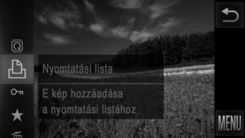 Képek nyomtatása Állóképek Képek hozzáadása a nyomtatási listához (DPOF) A fényképezőgépen beállíthat csoportos nyomtatást (189. oldal) és fotólaboroktól nyomatok megrendelését.