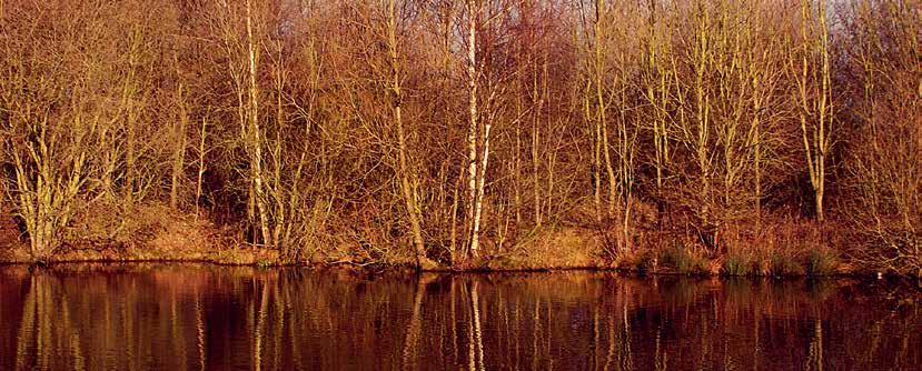 Ciprusi Madárvédelmi Egyesület BirdLife Név: BirdLife Ciprus Alapítás éve: 2003 Taglétszám: 500 fő