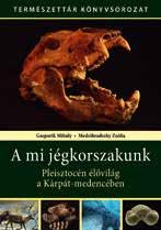 kötés Korrekt Nyomdaipari Kft.
