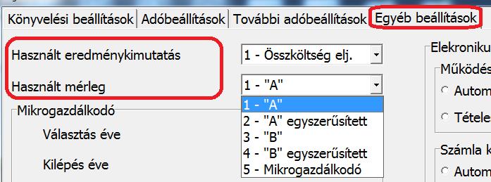 Amennyiben a vállalkozás mikrogazdálkodói beszámoló készítését választotta, úgy a