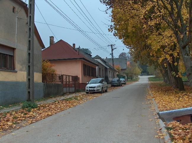 A művi elemek elsődleges szerepe azonban tagadhatatlan, növényzettel finomított látványuknál is nagy hangsúly van egy-egy kerítés, oszlop, szobor, homlokzatrészlet
