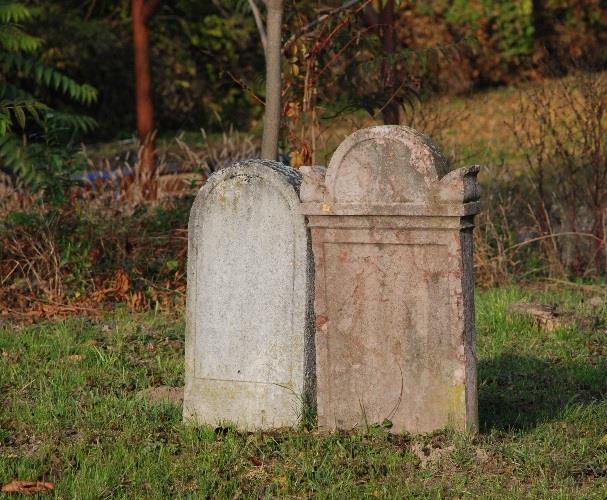 A Petőfi Sándor utcán dél felé haladva, annak két oldalán helyezkednek el.