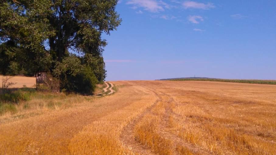 kép 89547.