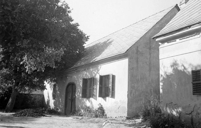 fotó 1962.