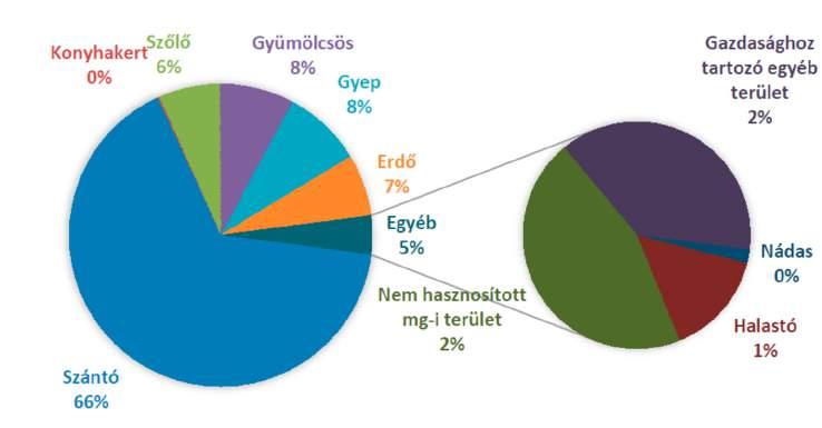 A bejárt mezőgazdasági területek többségén ugyanakkor amint arról a tanulmány végén csatolt fényképek is tanúskodnak lábon álló termény, legelő vagy lucernás található.