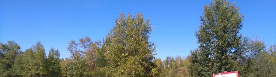 41. kép 57734.