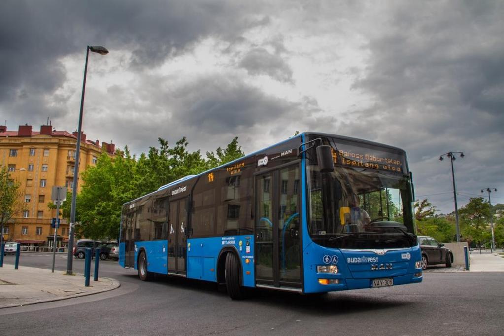 Busz járműpark A vonalak 99%-a részlegesen vagy teljesen akadálymentes, azaz szinte minden