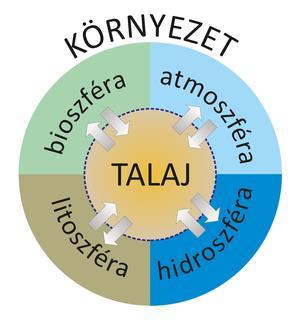 A talaj az atmoszféra, a hidroszféra, a litoszféra és a bioszféra metszéspontjában helyezkedik el, kölcsönhatásainak közege, számos környezeti folyamat aktív vagy passzív résztvevője.