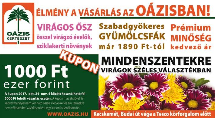 Mélységek és árnyalatok Különlegesen látványos lámpásokat alkothatunk, ha nem mindig egész darabokat vágunk ki a tökből.