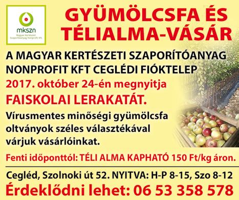 "Most egy olyan buszmegállót kaptunk, ahol 50 m 2 zöldfelületet hoztunk létre, a fák visszapótlása megtörtént, a