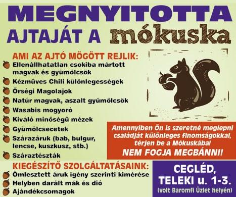 legegészségesebb zöldsége a sütőtök. Rendkívül sokoldalúan hasznosíthető!