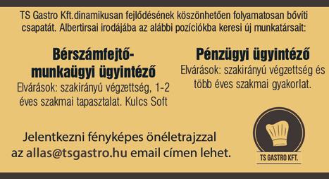 Ha felkeltettük érdeklődésedet jelentkezz személyesen Tápiószele Ceglédi út 27. vagy fényképes önéletrajban mpekseg1@gmail.