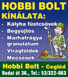 Arra azonban számítani kell, hogy nem felületkezeltek, így a védelemről nekünk kell gondoskodnunk.