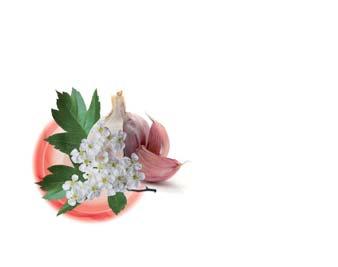 Other ingredients: hydroxypropyl methylcellulose, talcum, maltodextrin, magnesium stearate, colloidal silicon dioxide. Live Naturals Co., Inc.,111 Washington avenue, Ste.