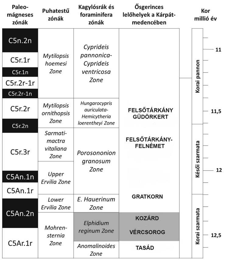 5 ábra Paleoökológia. A kozárdi fauna alárendelten tartalmaz nedves erdei környezethez kötõdõ fajokat, de domináns eleme a Cricetodon cf. klariankae, mely száraz, bokros környezetet jelez.