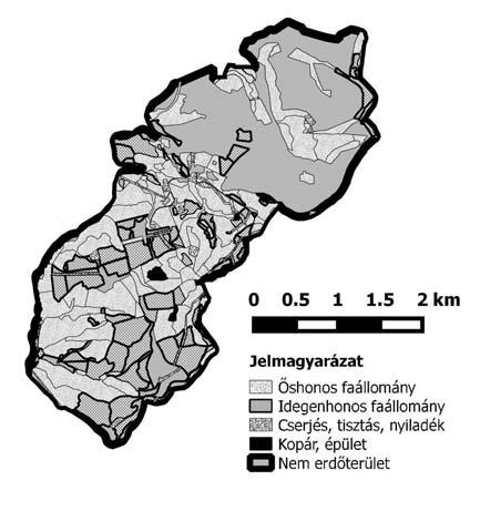 11. ábra: A vizsgált terület erdõállományai (szerk.: Bócsó A.) Összegezve az elmúlt évszázadok változásait megállapítható, hogy elsõsorban az erdõk rovására jelentõs terület igénybevétel történt.