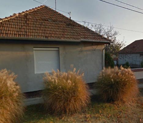 Ma egyre nagyobb szerepe van a szárazságtűrő díszfüveknek, valamint a kártevőkre
