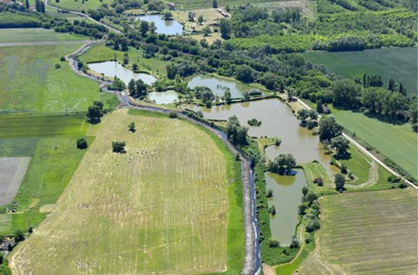 Az Aranyhegyen termelt szőlőfajtákból kiváló minőségű borok készülnek, mint a Rajnai Rizling, Chardoné, Hárslevelű.