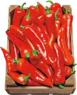 SZOMBATTÓL VASÁRNAPIG 09. 02 03. SZUPER 699Ft 500 g, 1 kg = 1 398 Ft HÚSFARM FRISS NYÚL TELJES ELEJE, 500 g A kép illusztráció.