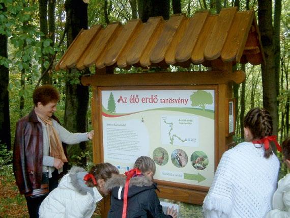 Királyvölgyi madár-és természetvédelmi tanösvényt, az Aradi