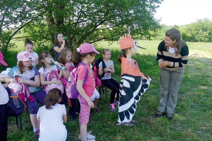 A NEMZETI PARK vagyis Harsányi Krisztián az Őrségi Nemzeti Park Igazgatóság Észak-vasi területkezelési osztály (Kőszeg) osztályvezetője, aki türelmesen segít, ha ideje engedi, Kóródi Blanka