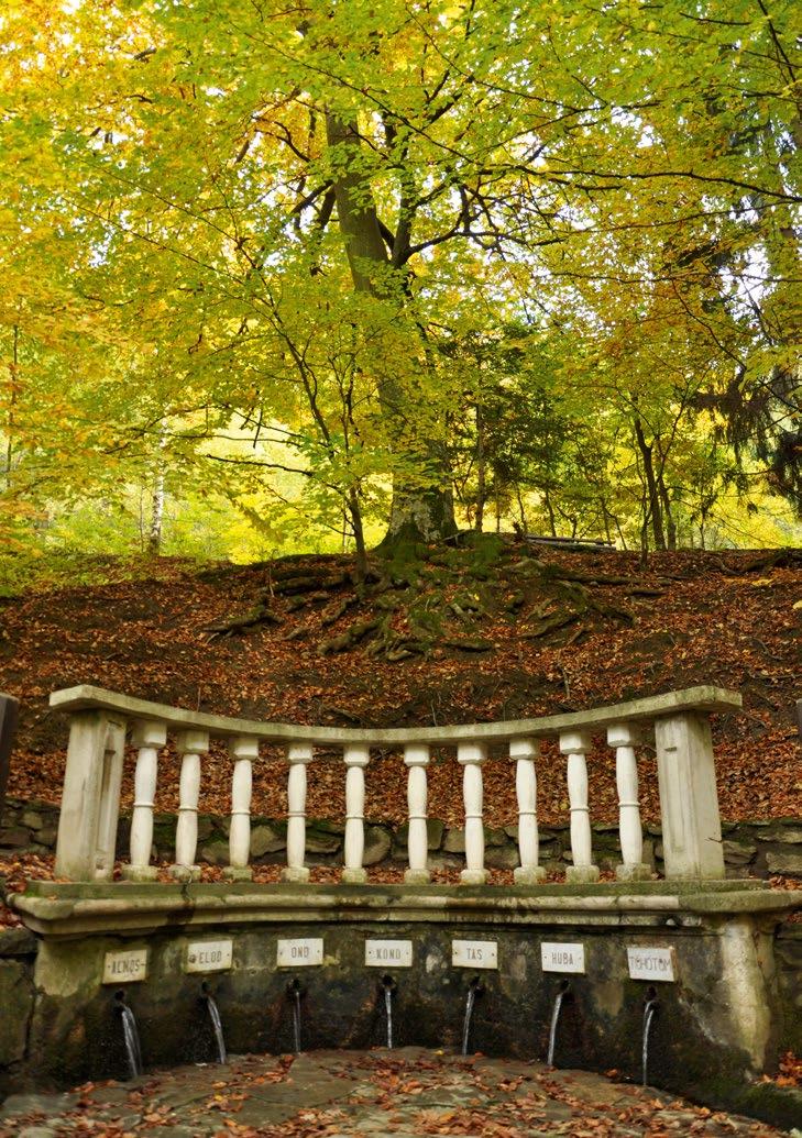 Az Írottkő Natúrpark a Nyugat-dunántúli régióban, Vas megye északnyugati részén, helyezkedik el.