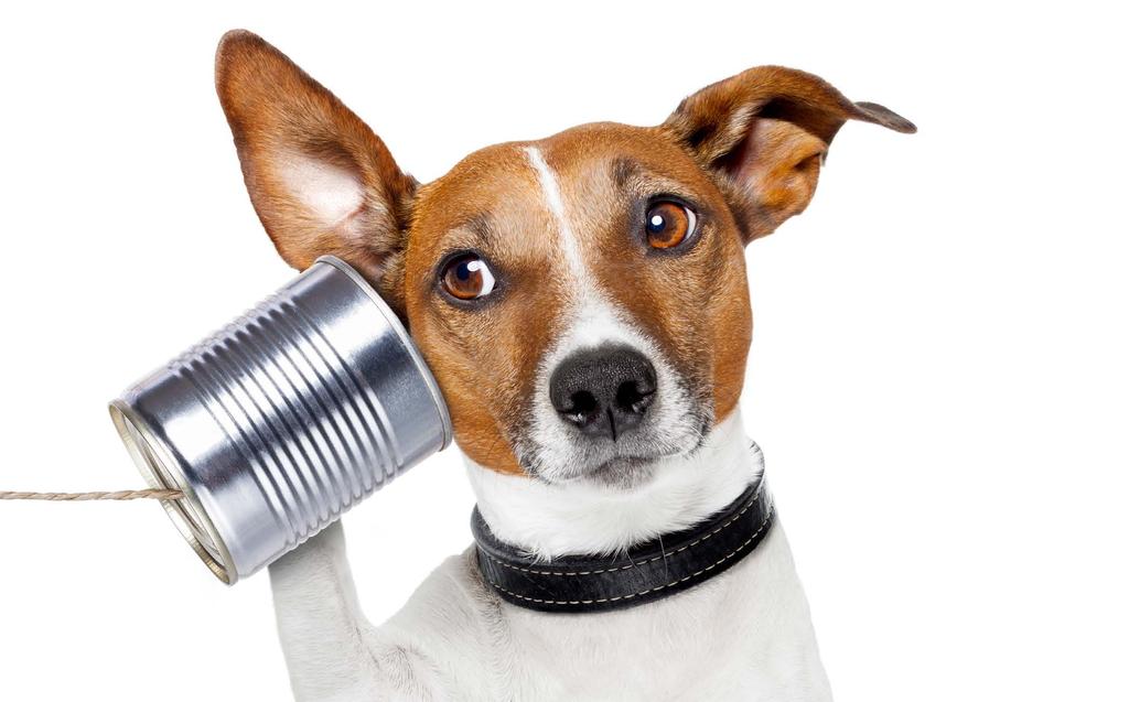 Ha a telefonos beszélgetést felkészült és tapasztalat munkatársunk végzi, akkor a kimenő hívások, a telefonos ügyfél-szolgálati tevékenységek, a telefonos