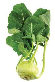 BURGONYA 2,5 kg,