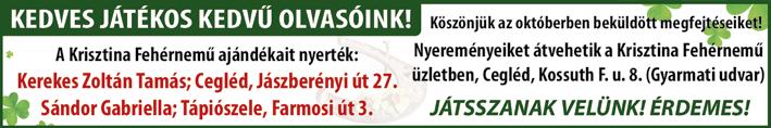 Földi László országgyűlési képviselő továbbá elmondta még: Ma már a főépületnek a betegszobái nagyon elavultak, hat-nyolc ágyas kórtermekkel.
