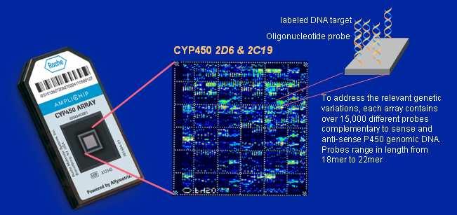 CYP450 Affimetrix