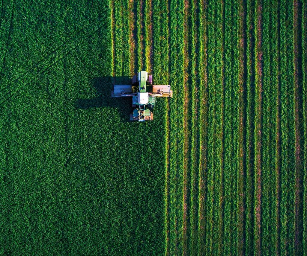 Az agrártudományok területén 221 szervezet működik, ahol a vállalkozási és a felsőoktatási kutatóhelyek száma meghaladja a százat.