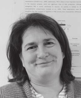 SCHLETT KATALIN Budapest, 1969 Felsôfokú tanulmányok: Eötvös Loránd Tudományegyetem Természettudományi Kar (1987 1993), biológus Semmelweis Orvostudományi Egyetem, Idegtudományok Doktori Program