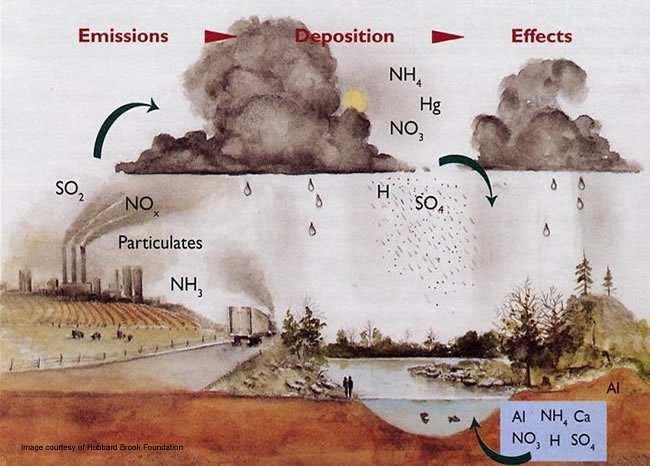 Az eső természetes savassága és a savas eső Természetes savasság: H 2 O + CO 2 H 2 CO 3 H 2 O + H 2 CO 3 HCO 3 + H 3 O + ph 5, mészkő, vízkő képződése: