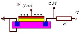 Dinamikus (D-RAM): kondenzátorokból készül, így a feltöltés után folyamatos frissítésre szorul.