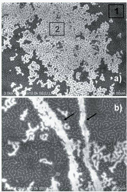 136 Magyar Kémiai Folyóirat - Közlemények Hivatkozások 1. Virág, E.; Pesti, M.; Kunsági-Máté, S. J. Antibiot. 2010, 63, 113-117. 2. Virág, E.; Pesti, M.; Kunsági-Máté, S. J. Antibiot. 2012, 65, 193 196.