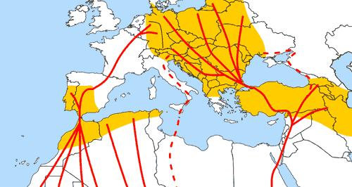 2 MTA KÖZGAZDASÁG- ÉS REGIONÁLIS TUDOMÁNYI KUTATÓKÖZPONT a kérdéskört elemző munkájában (MTA Migrációs Munkacsoport 2015).