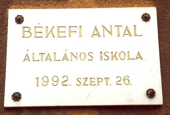 elnöke.