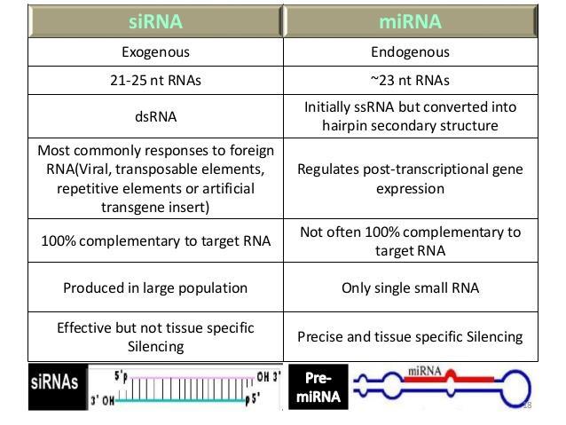 Géncsendesítés RNS interferencia https://www.slideshare.