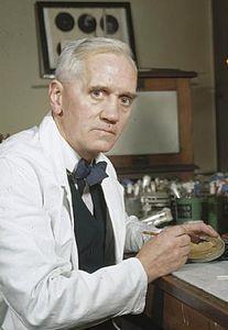 Antibiotikumok Alexander Fleming (1928) Penicillium notatum Gram-pozitív