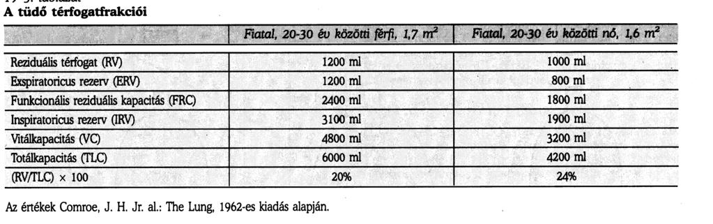 A tüdő